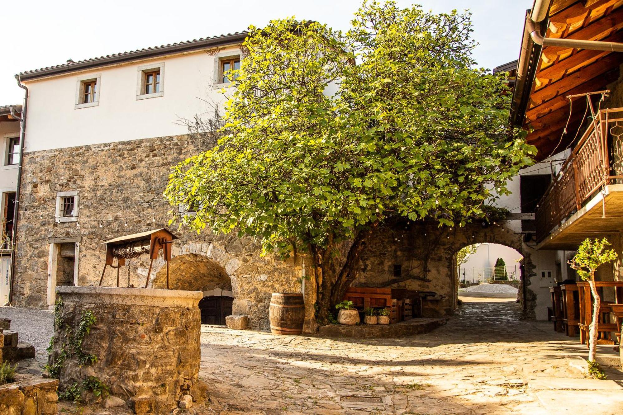 Boutique Rooms & Winery Zorz Vipava Exterior foto